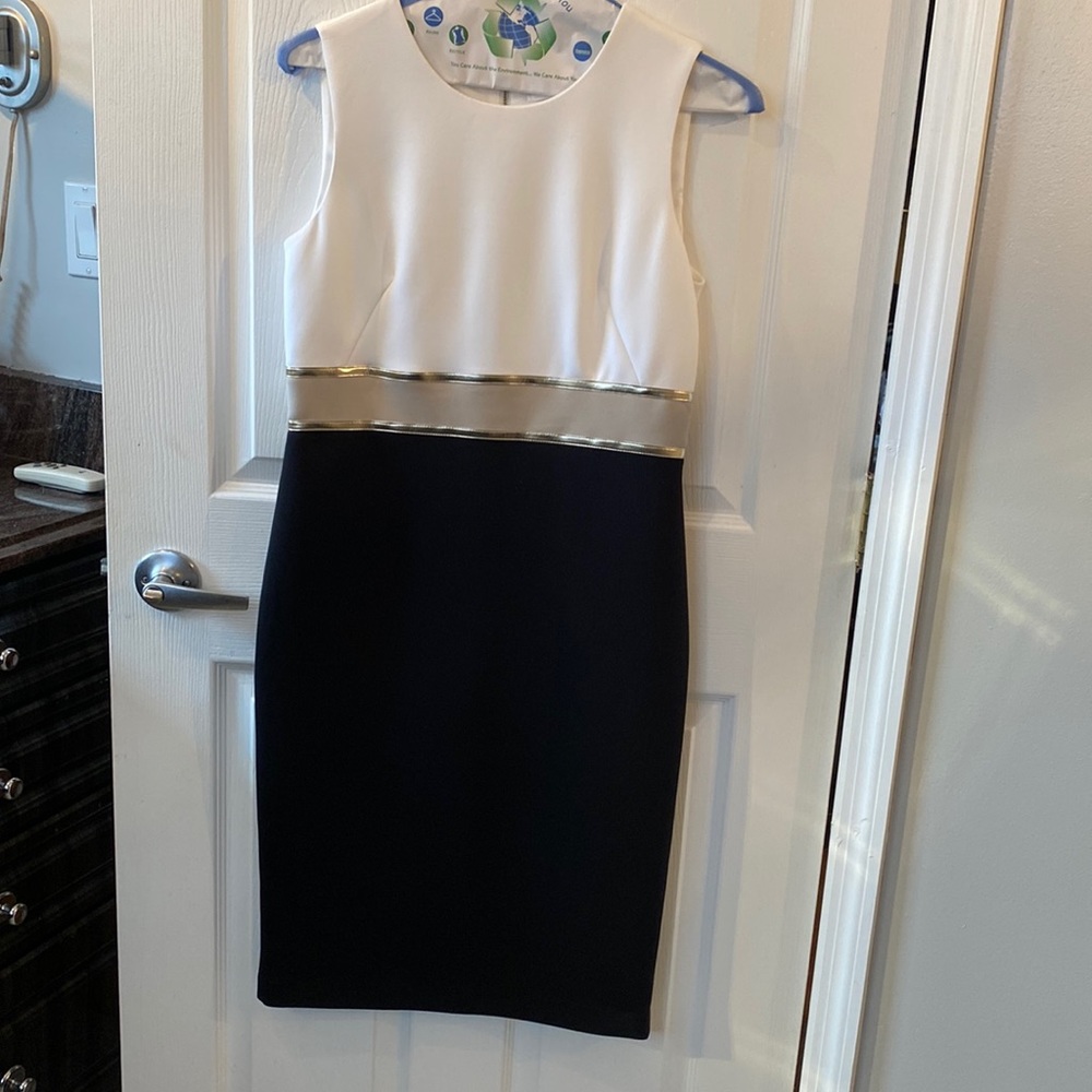 Calvin Klein Metallic Colorblocked Dress